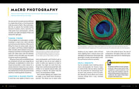 National Geographic Photo Basics: The Ultimate Beginner's Guide to Great Photography