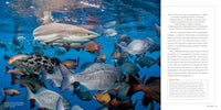 100 Dives of a Lifetime: The World's Ultimate Underwater Destinations (100 of a Lifetime)