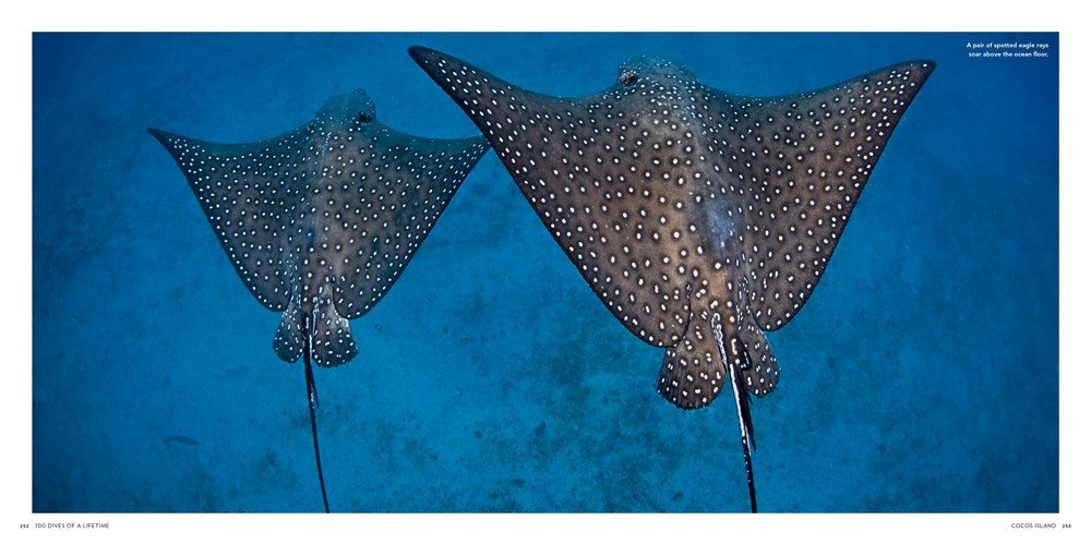 100 Dives of a Lifetime: The World's Ultimate Underwater Destinations (100 of a Lifetime)