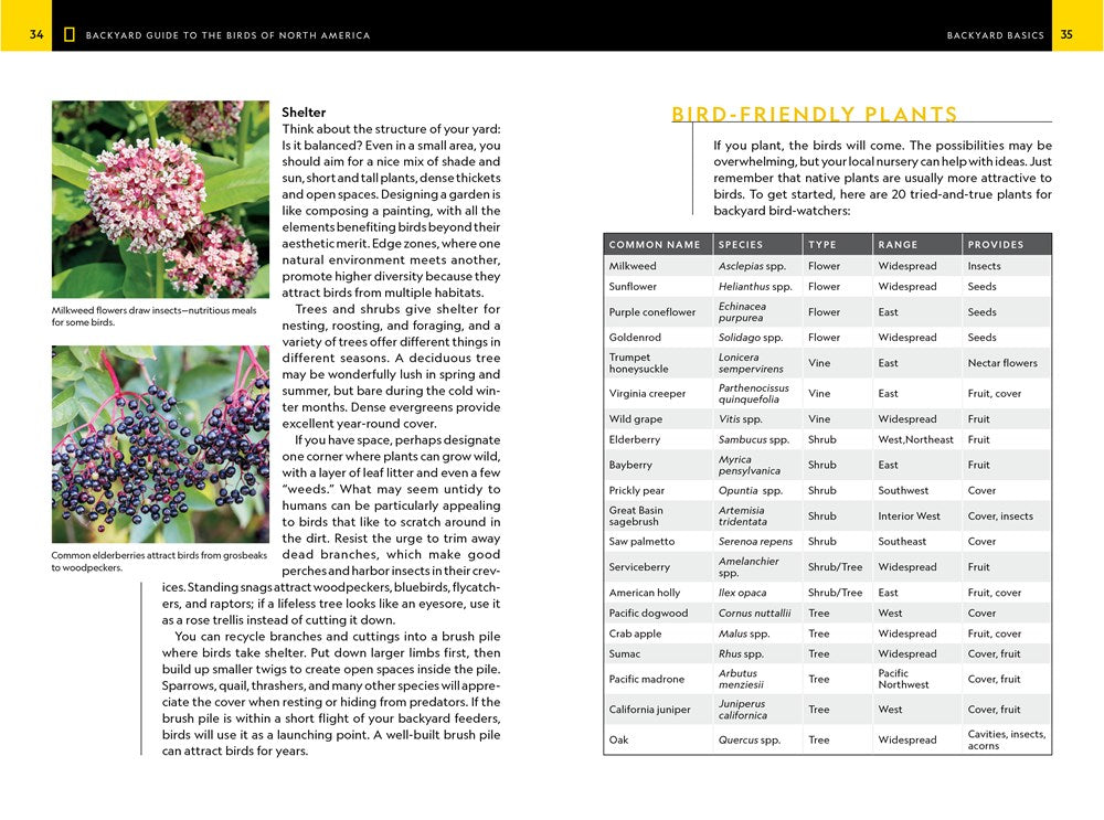 National Geographic Backyard Guide to the Birds of North America, 2nd Edition