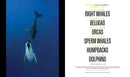 Secrets of the Whales