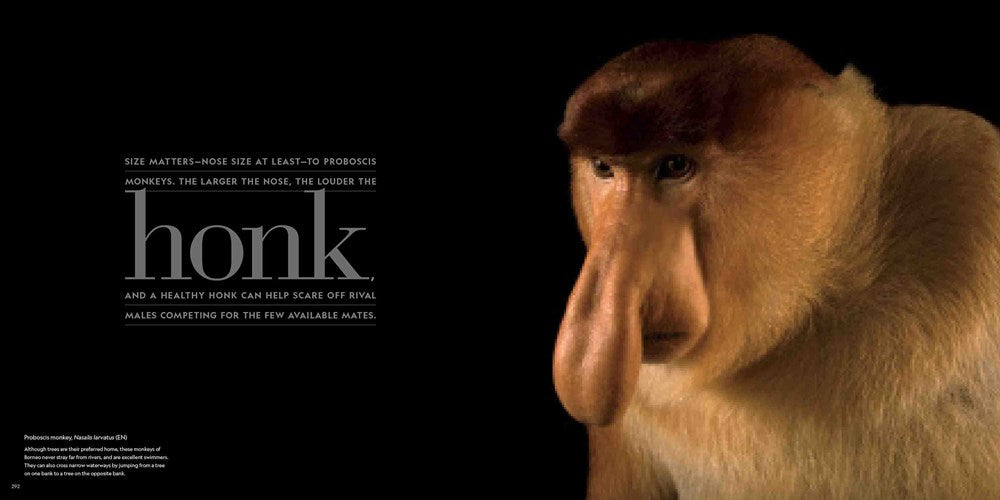 National Geographic Photo Ark Wonders