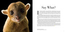 National Geographic Photo Ark Wonders
