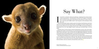 National Geographic Photo Ark Wonders