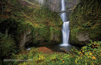 100 Trails, 5,000 Ideas