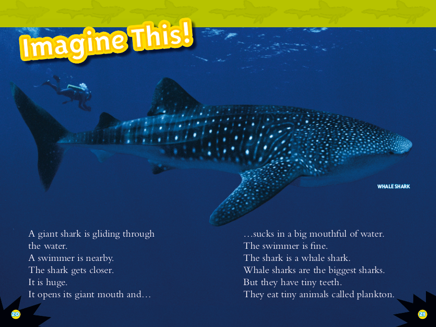 National Geographic Readers: Sharks! (Science Reader Level 2)