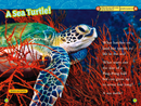 Sea Turtles (National Geographic Kids Readers, Level 2)