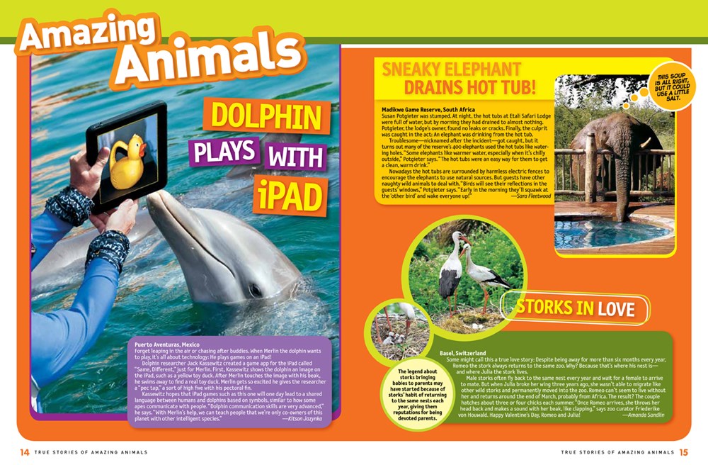 National Geographic Kids 125 True Stories of Amazing Animals: Inspiring Tales of Animal Friendship & Four-Legged Heroes, Plus Crazy Animal Antics