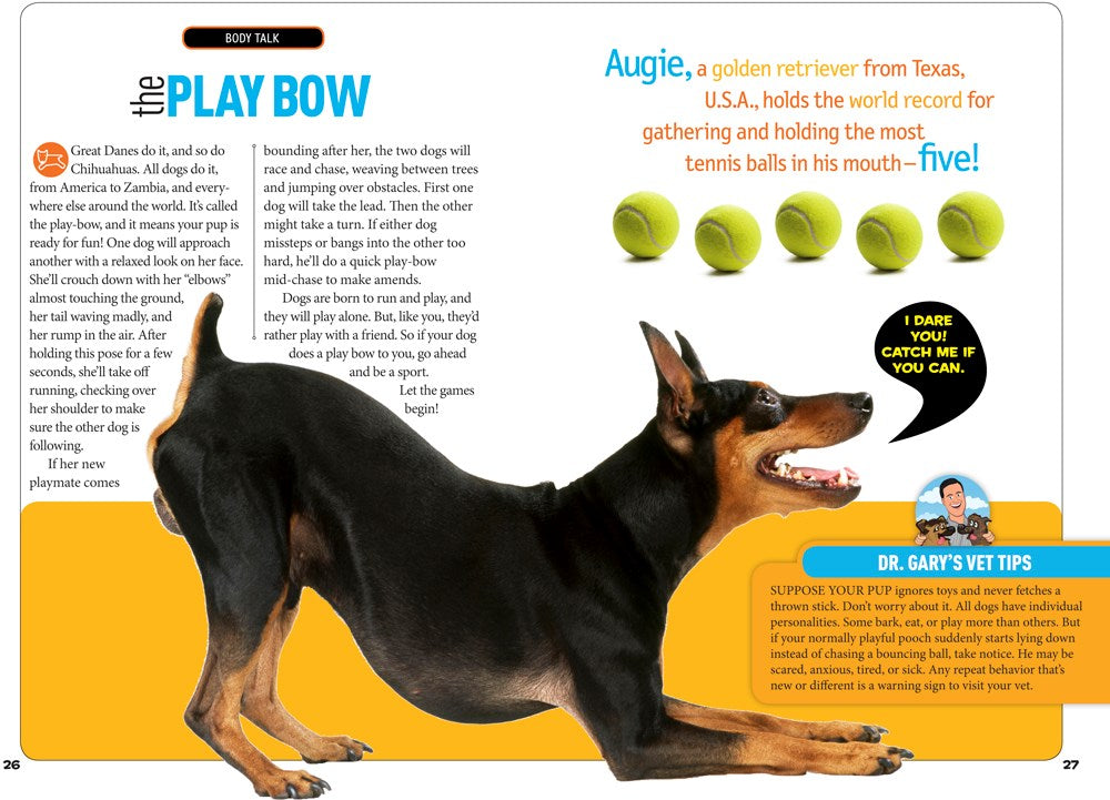 How to Speak Dog