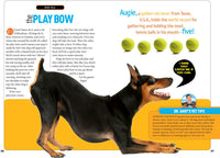 How to Speak Dog