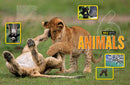 National Geographic Kids Why?: Over 1,111 Answers to Everything (NGK Why?)