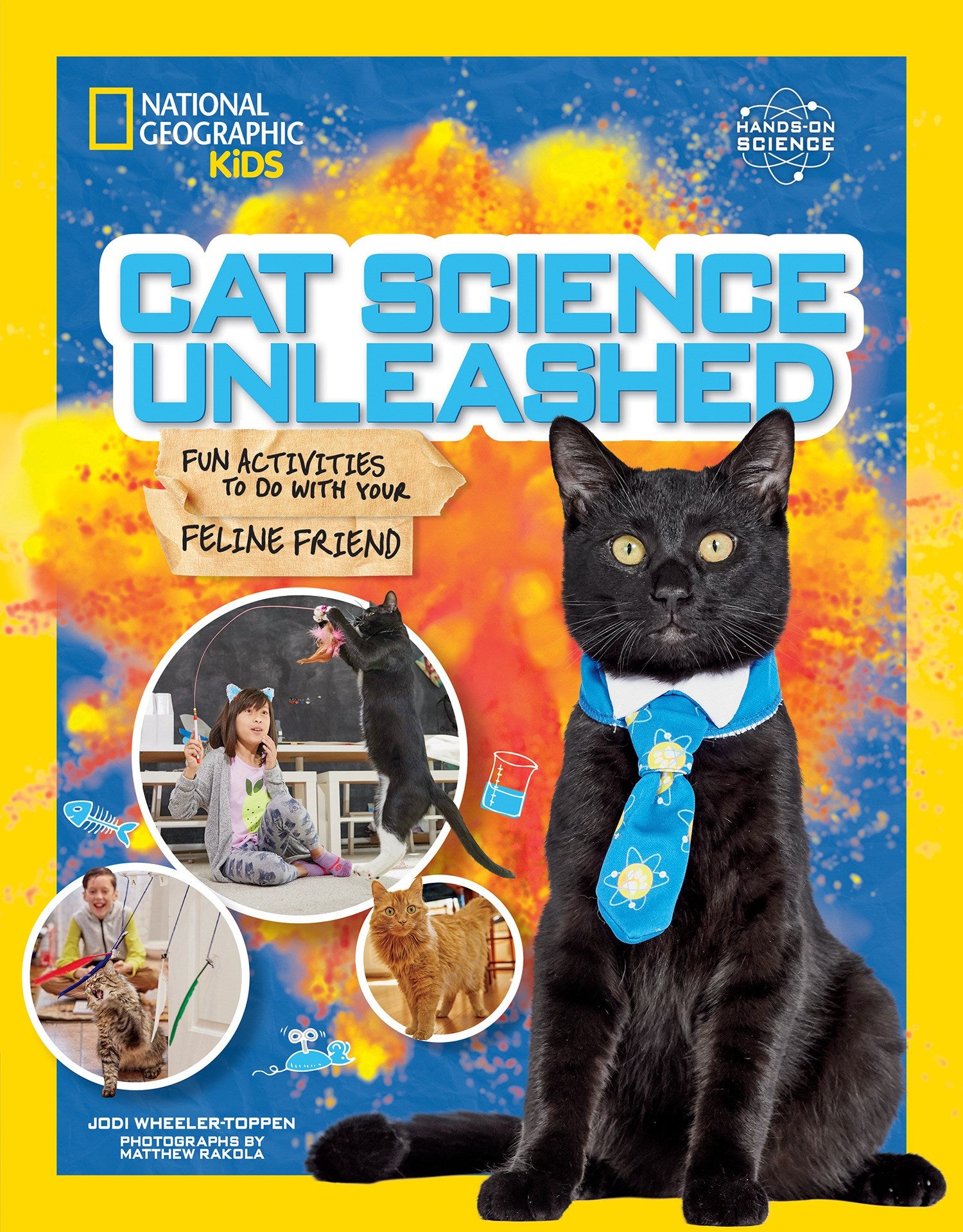 Cat Science Unleashed: Fun activities to do with your feline friend