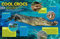The Coolest Stuff on Earth: A Closer Look at the Weird, Wild, and Wonderful (National Geographic Kids)