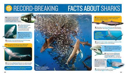 1,000 Facts About Sharks