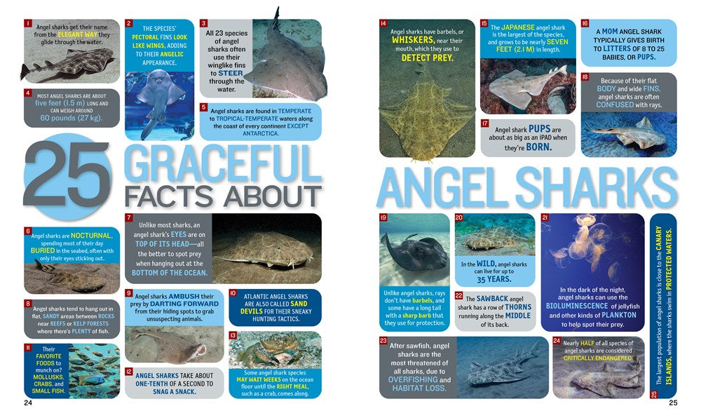 1,000 Facts About Sharks