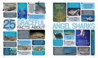 1,000 Facts About Sharks