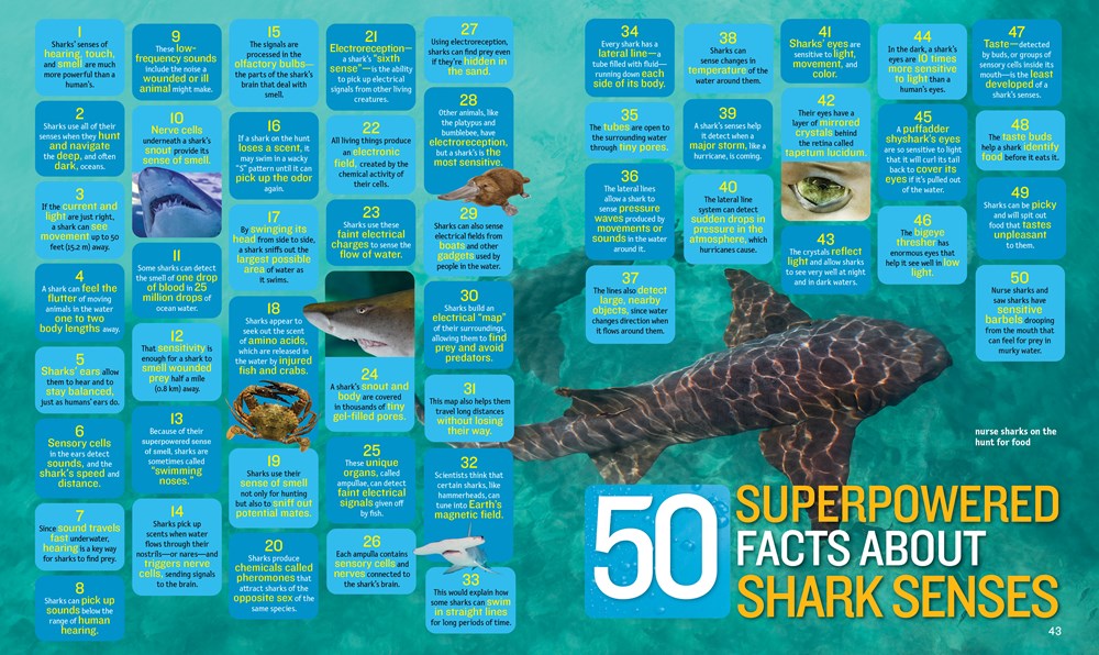 1,000 Facts About Sharks