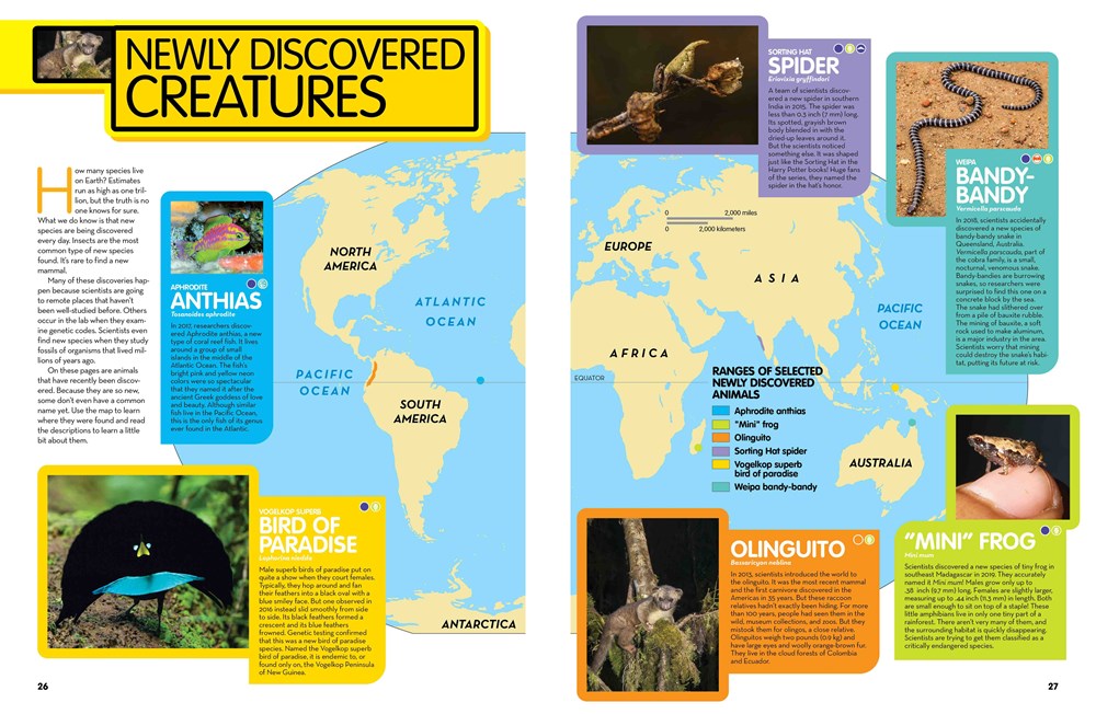 National Geographic Kids Animal Encyclopedia, 2nd Edition: 2,500 Animals with Photos, Maps, and More! (NGK Encyclopedias)