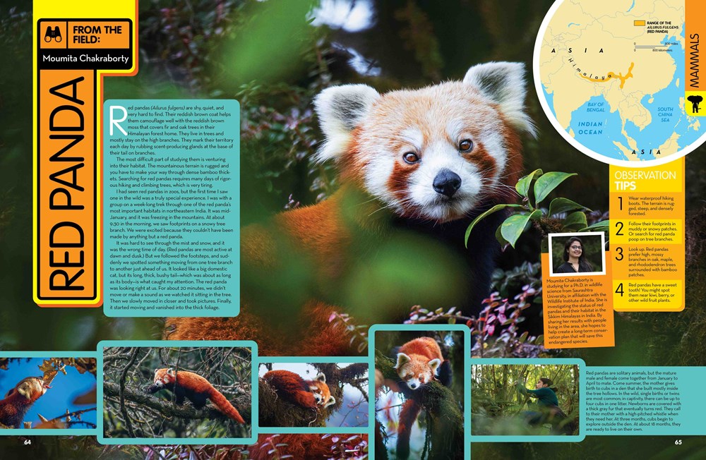 National Geographic Kids Animal Encyclopedia, 2nd Edition: 2,500 Animals with Photos, Maps, and More! (NGK Encyclopedias)