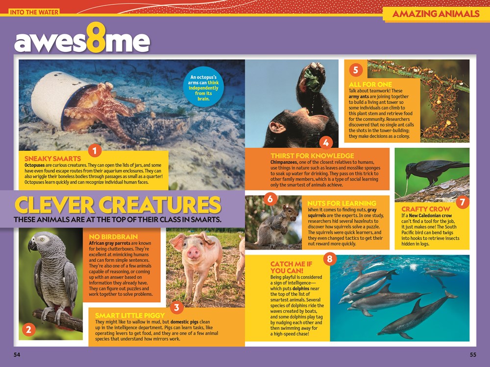 National Geographic Kids Almanac 2026 (NGK Almanac)