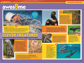 National Geographic Kids Almanac 2026 (NGK Almanac)