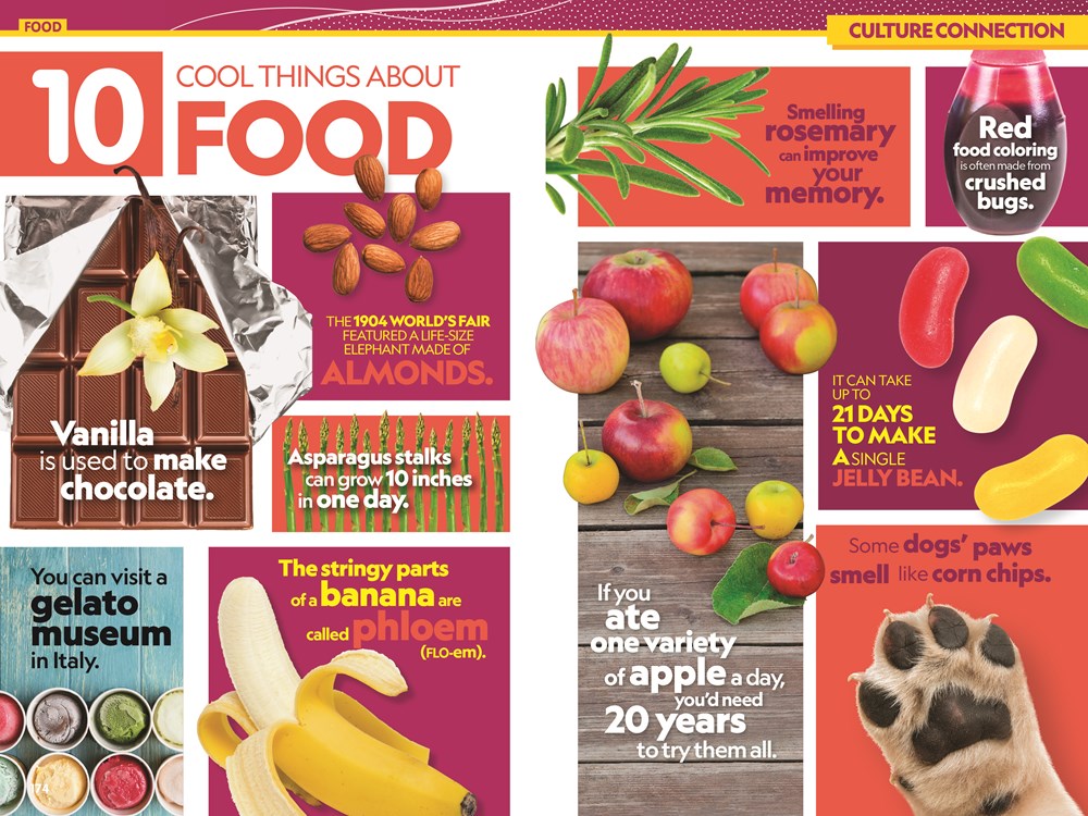 National Geographic Kids Almanac 2026 (NGK Almanac)