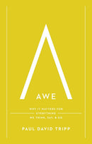 Awe: Why It Matters for Everything We Think, Say, and Do