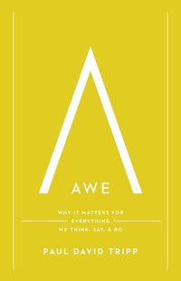 Awe: Why It Matters for Everything We Think, Say, and Do