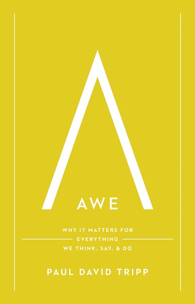 Awe: Why It Matters for Everything We Think, Say, and Do