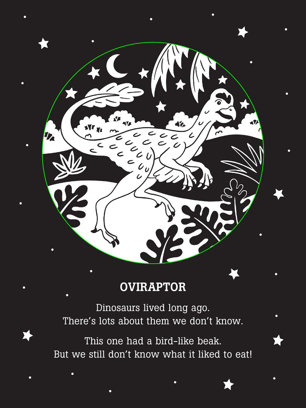 Dinos After Dark Bedtime Shadow Book