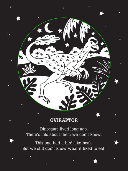 Dinos After Dark Bedtime Shadow Book