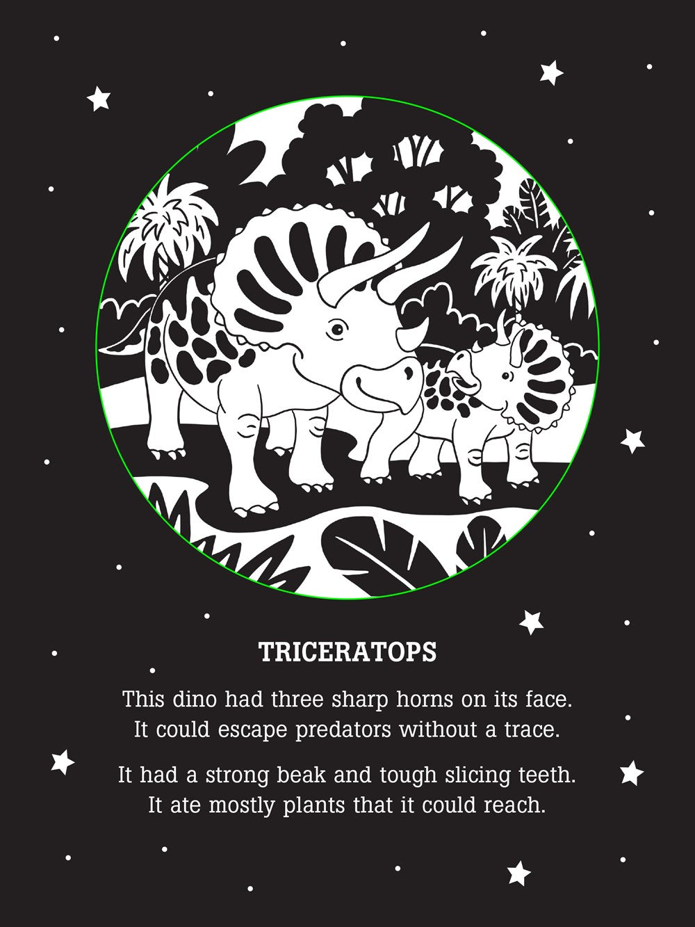 Dinos After Dark Bedtime Shadow Book