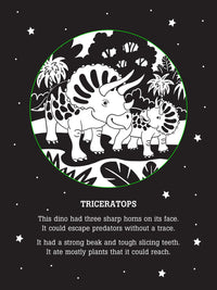 Dinos After Dark Bedtime Shadow Book