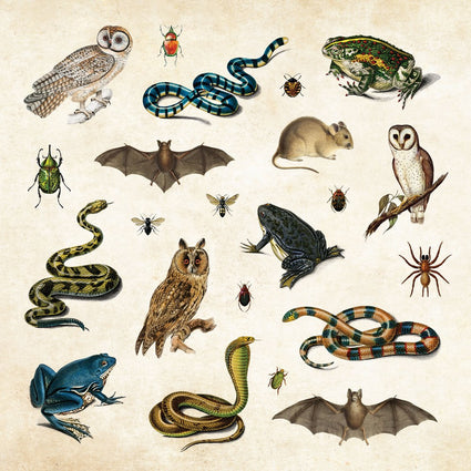 Mystical Ephemera! An Enchanting Vintage Sticker Book (over 900 stickers)