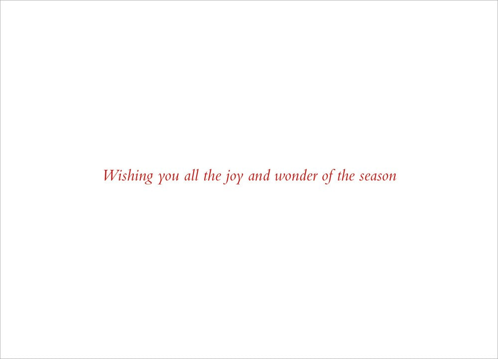 Deck the Halls Deluxe Boxed Holiday Cards (20 cards, 21 self-sealing envelopes)