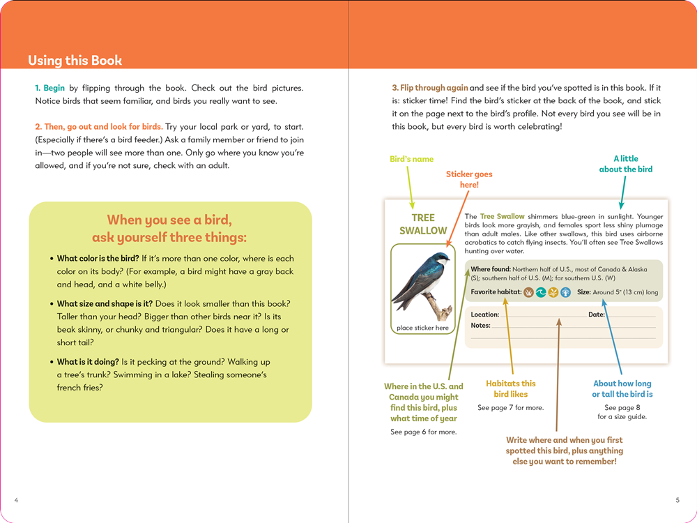 Birder's Logbook: A Seek-and-Sticker Book for Budding Ornithologists (comes with 100 full-color stickers of birds!)