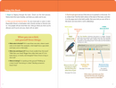 Birder's Logbook: A Seek-and-Sticker Book for Budding Ornithologists (comes with 100 full-color stickers of birds!)