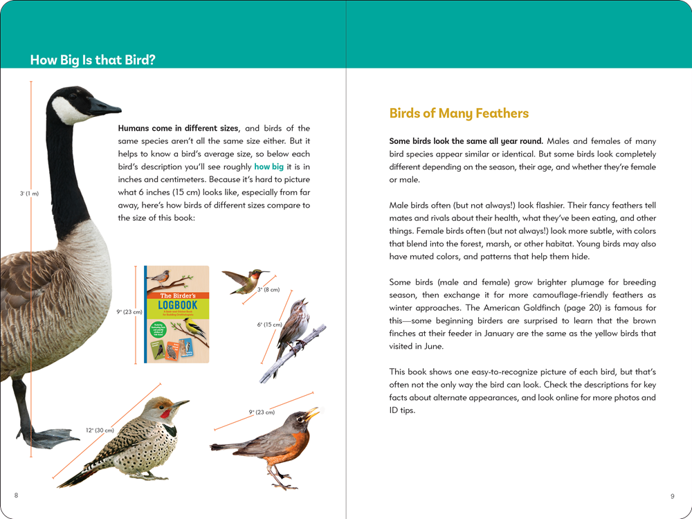Birder's Logbook: A Seek-and-Sticker Book for Budding Ornithologists (comes with 100 full-color stickers of birds!)