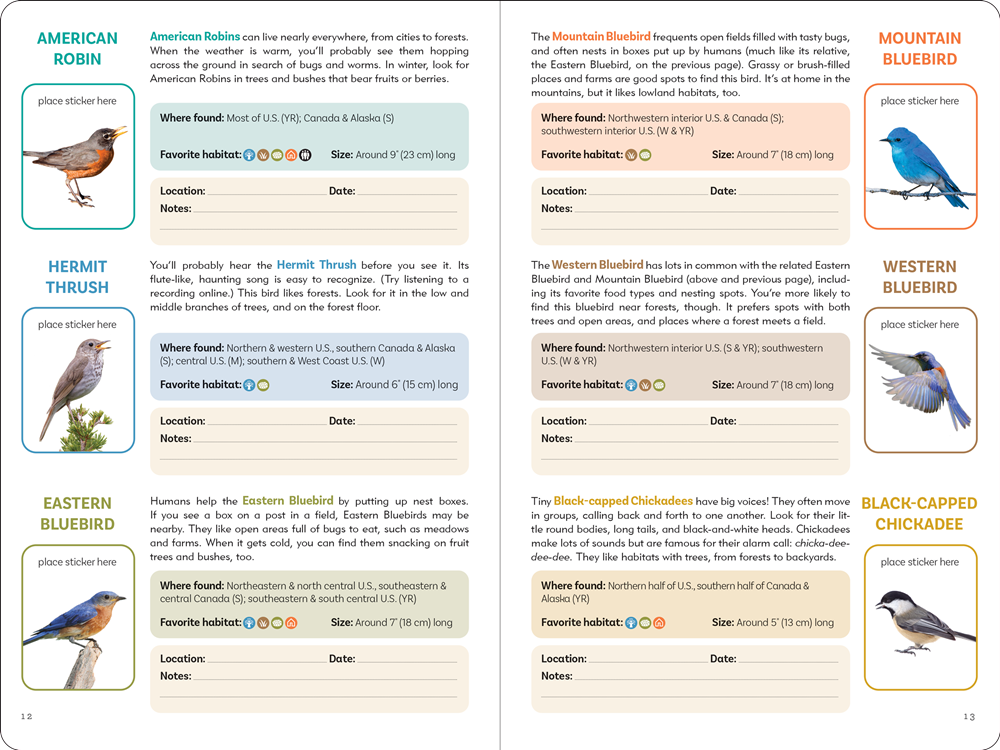 Birder's Logbook: A Seek-and-Sticker Book for Budding Ornithologists (comes with 100 full-color stickers of birds!)
