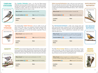 Birder's Logbook: A Seek-and-Sticker Book for Budding Ornithologists (comes with 100 full-color stickers of birds!)