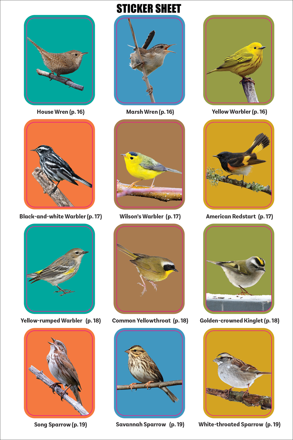 Birder's Logbook: A Seek-and-Sticker Book for Budding Ornithologists (comes with 100 full-color stickers of birds!)