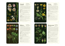 50 Plants that Heal