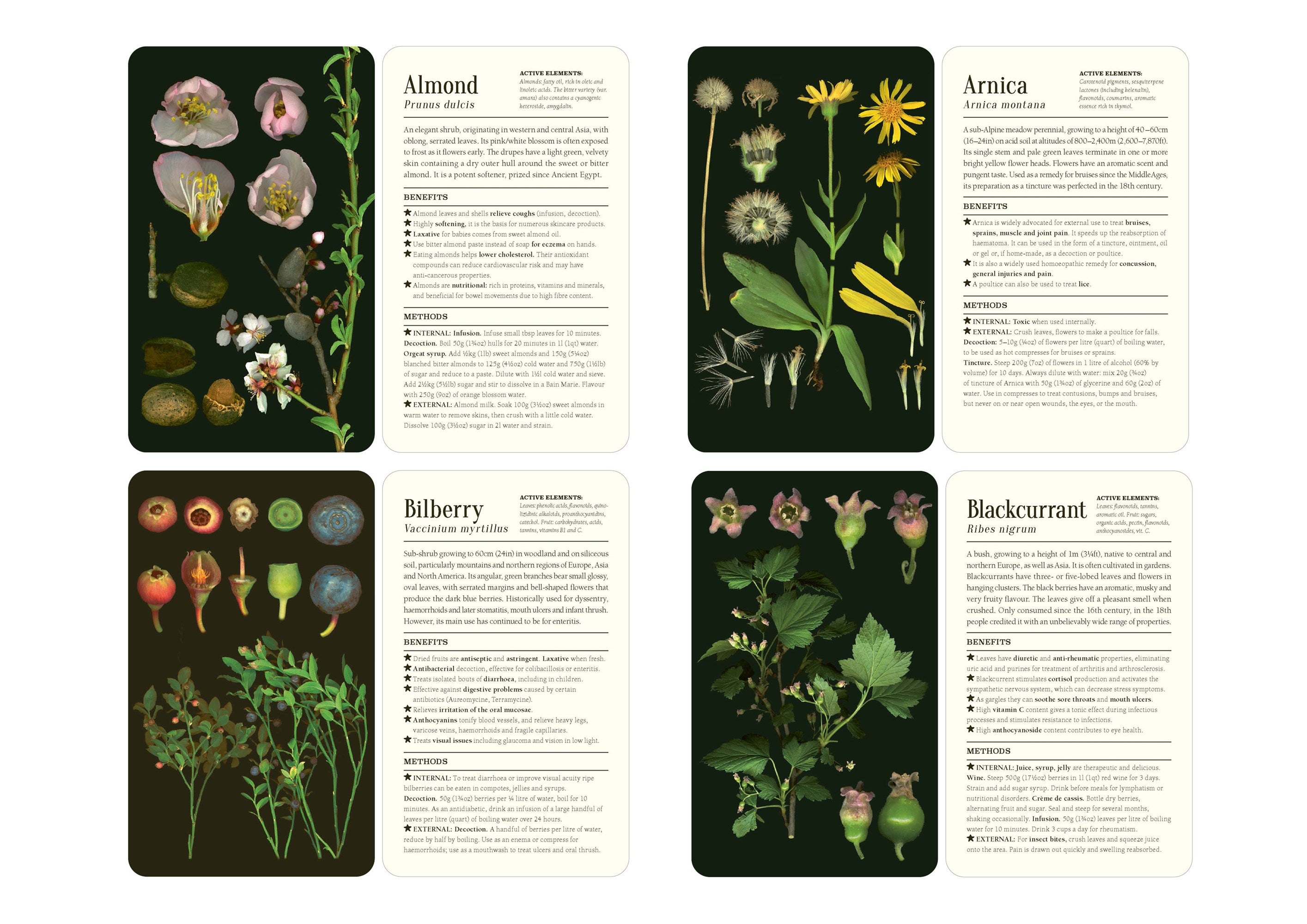 50 Plants that Heal