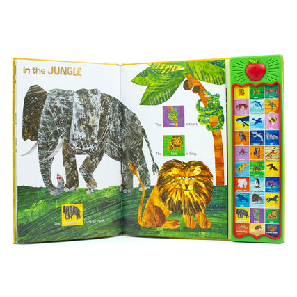World of Eric Carle, Hear Bear Roar 30-Button Animal Sound Book - Great for First Words - PI Kids