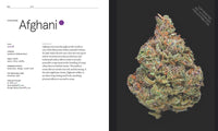 Green: A Field Guide to Marijuana