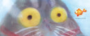 They All Saw a Cat (Brendan Wenzel)