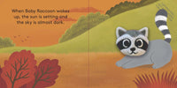 Baby Raccoon: Finger Puppet Book