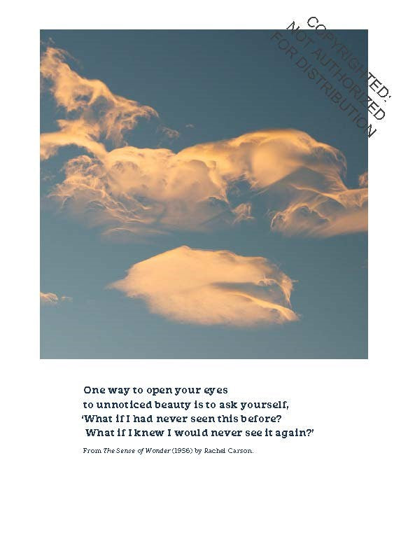A Cloud a Day