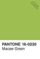 Pantone 50 Postcards