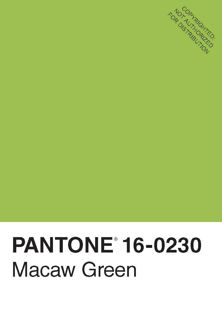 Pantone 50 Postcards